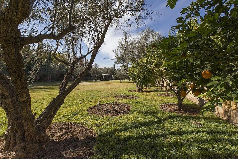 Villa Zahra Palmeraie Marrakesh Buitenkant foto